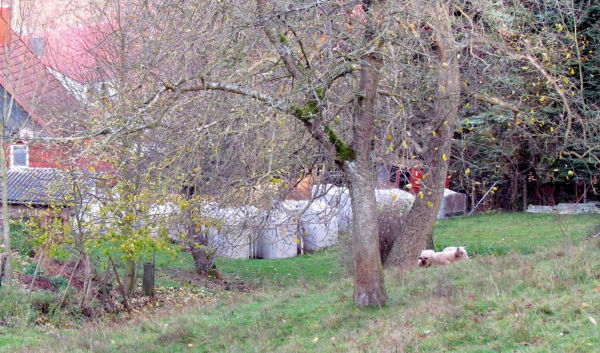 höcke (bornhagen) mahnmal