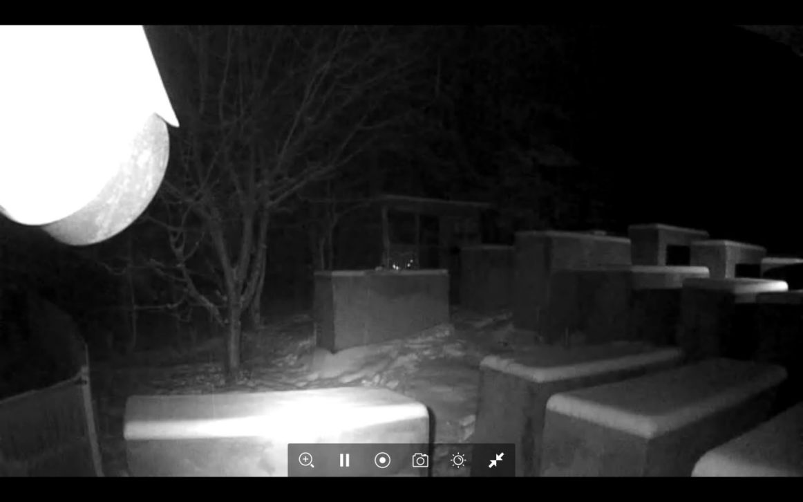 höcke (bornhagen) mahnmal